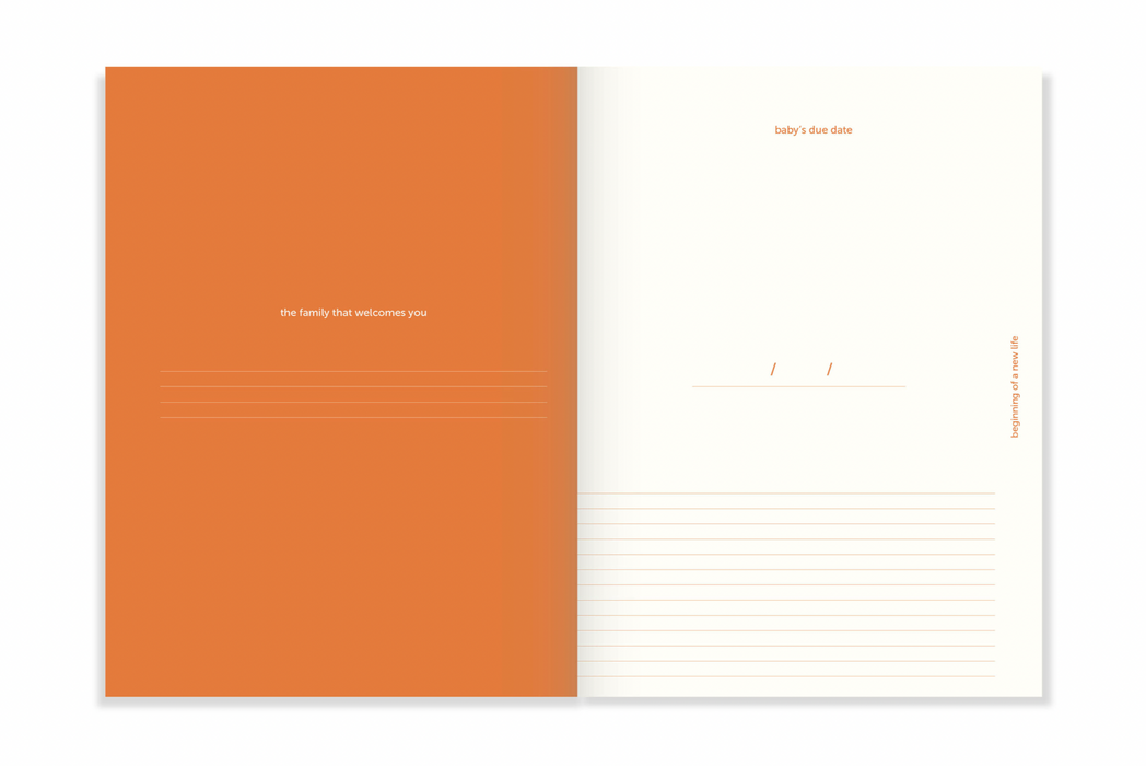 A-Journal Nine Months Journal