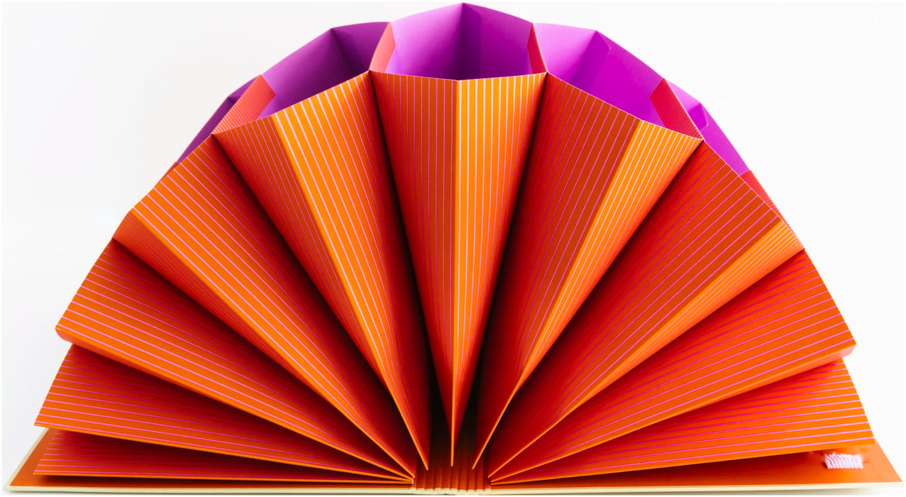 Mappe mit 10 Fächern - Accordion Folder