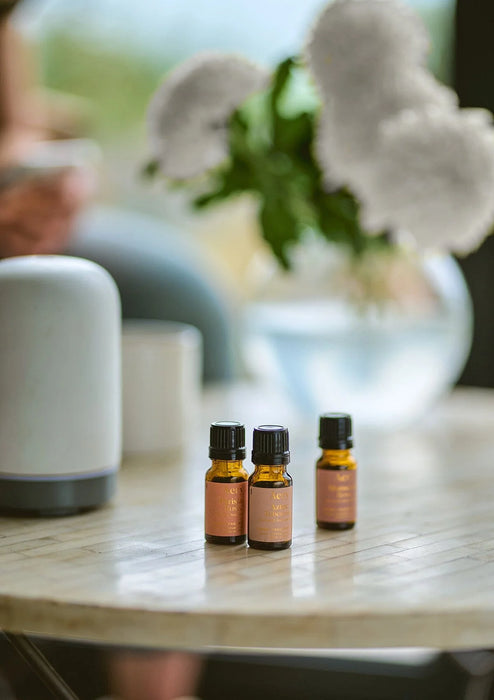 Wanderlust Fragrance Oil Set