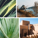 Better By Less Pulver Schaumseife / Handseife - Aloe Kick 