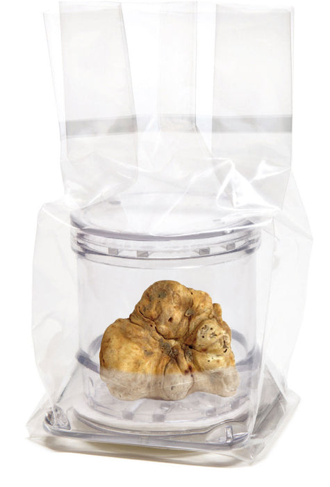 Tuber-Pack Trüffeldose