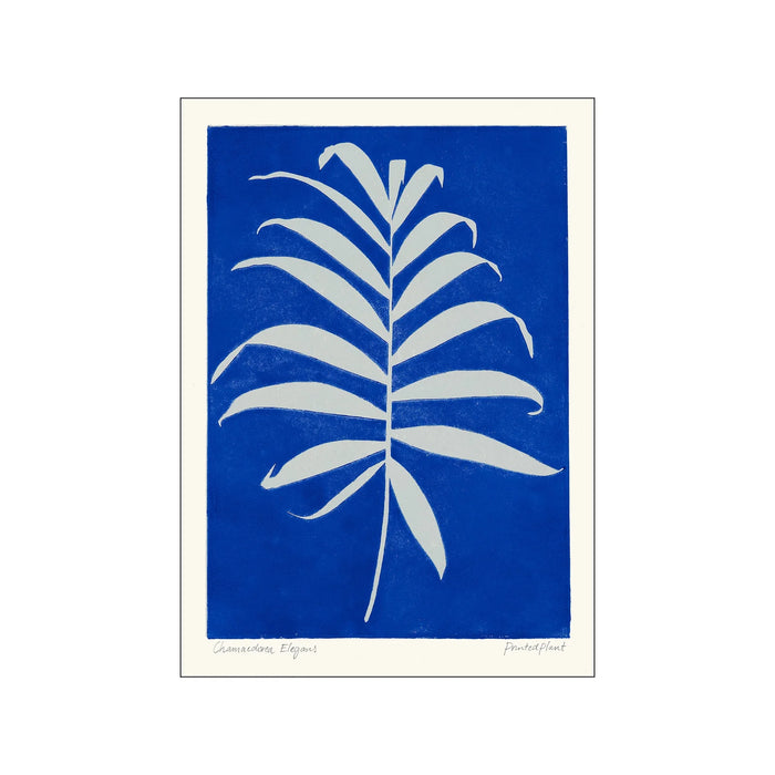 Kunstdruck - Printed Plant - Chamaedorea A5