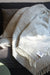 Coudre Berlin Wolldecke / Kuscheldecke - Waffle Light Granite