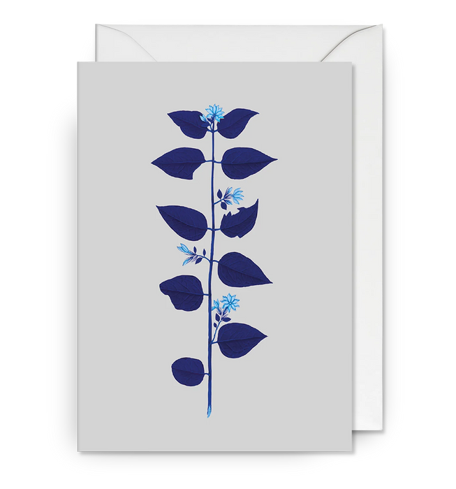 Grußkarten (Neutral Ohne Spruch) - Lagom Design