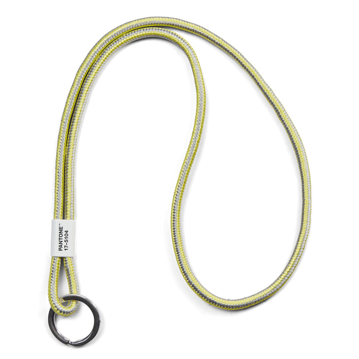 PANTONE KeyChain Long Ultimate Gray-Illuminating COY21