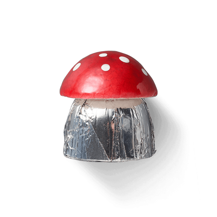 Sawade Pilz