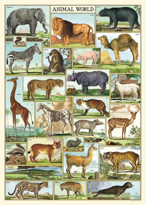 Cavallini Poster