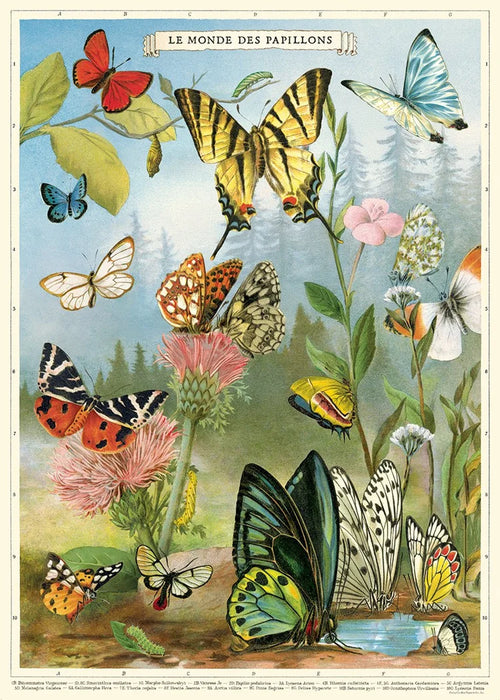 Cavallini Poster
