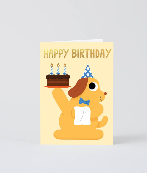Happy Birthday Dog Cake / Wrap Geburtstag