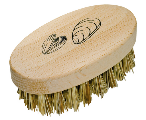Muschelbürste