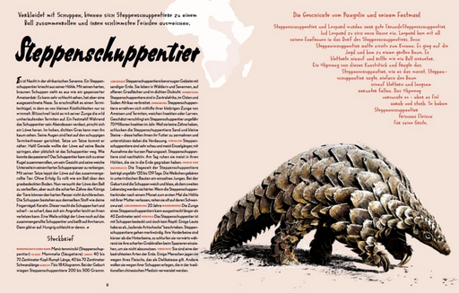 Buch, Auf Safari, Kleine Gestalten