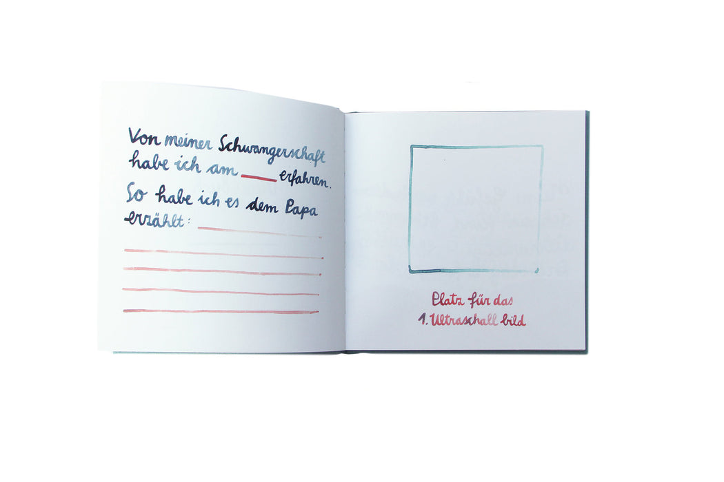 Buch illustriert