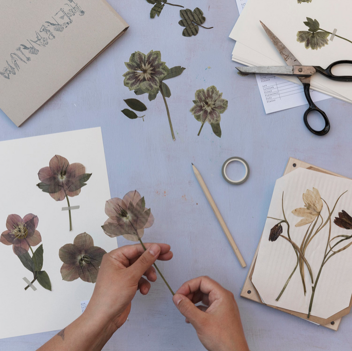 kit company flower press set