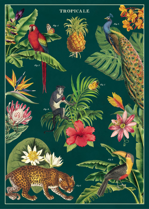 Cavallini Geschenkpapier/Poster Tropicale