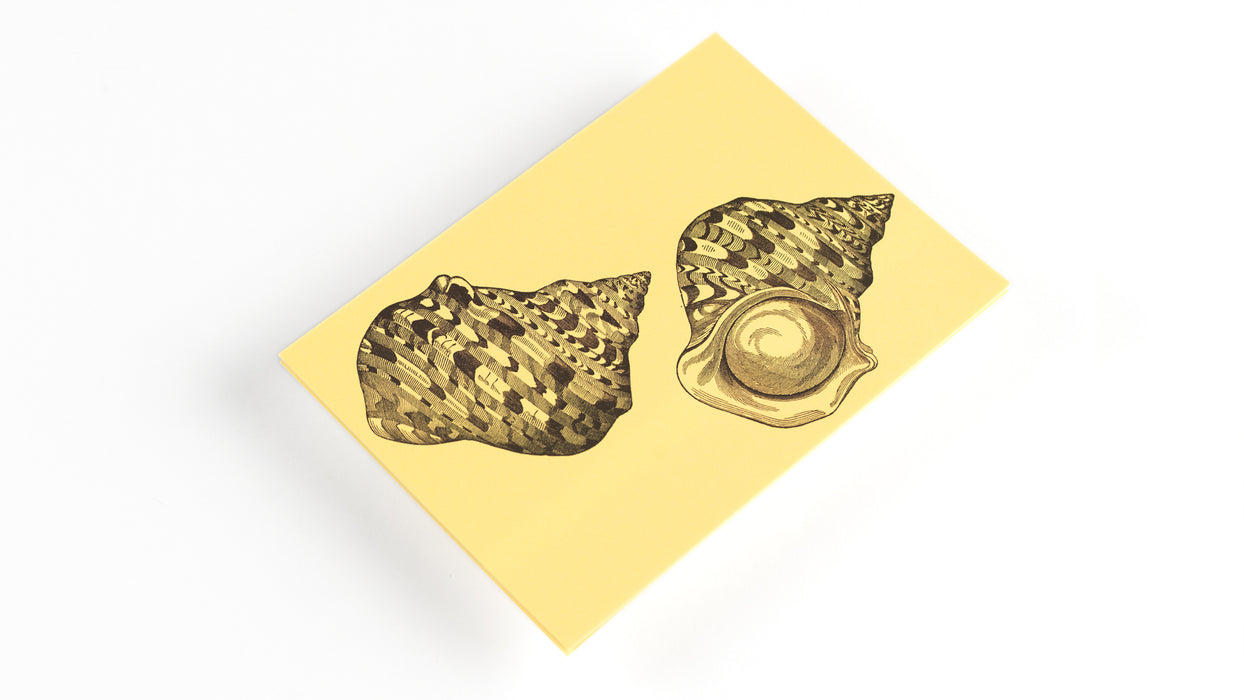 Letter Writing Set