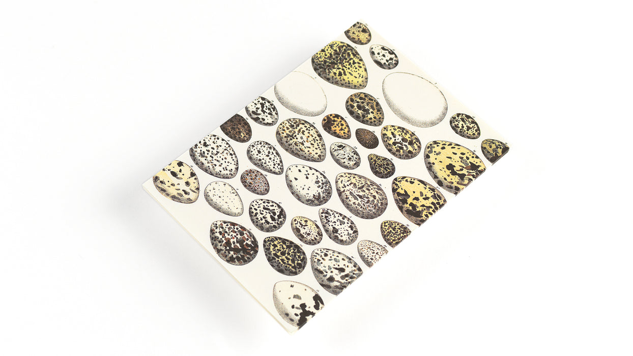 Letter Writing Set