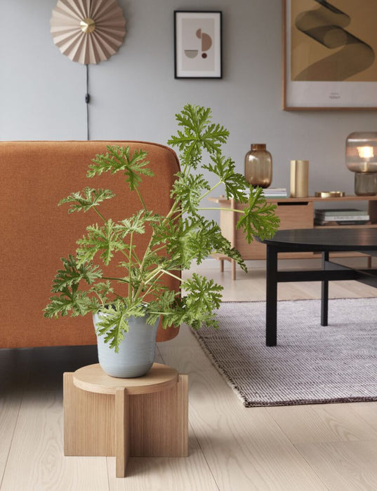 Care Blumentopf blau aus Keramik