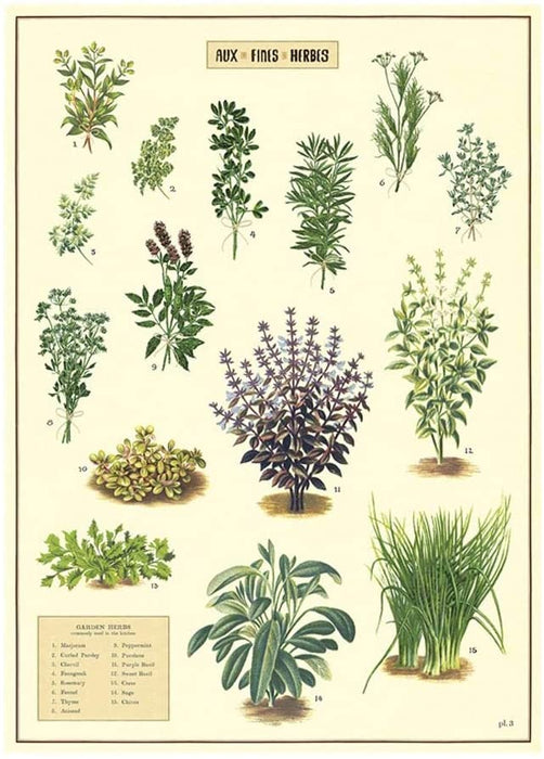 Cavallini Geschenkpapier/Poster Aux Fines Herbes
