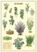 Cavallini Geschenkpapier/Poster Aux Fines Herbes