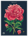 Cavallini Geschenkpapier/Poster Botany