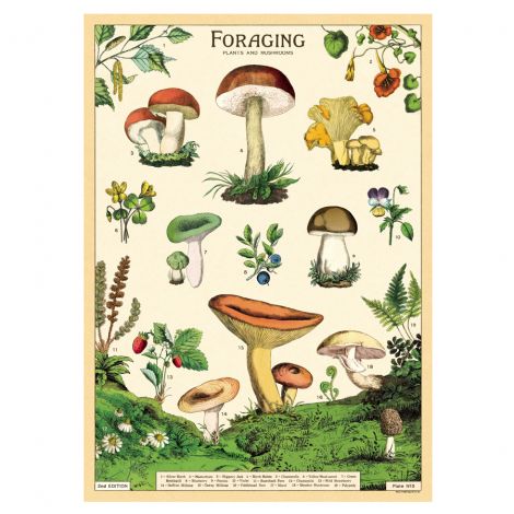 Cavallini Geschenkpapier/Poster Foraging