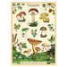 Cavallini Geschenkpapier/Poster Foraging