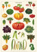 Cavallini Geschenkpapier/Poster Vegetables