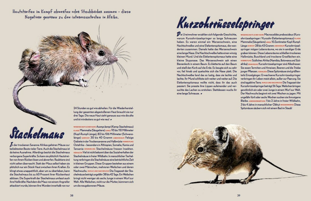 Buch, Auf Safari, Kleine Gestalten
