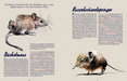 Buch, Auf Safari, Kleine Gestalten