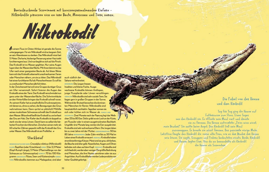 Buch, Auf Safari, Kleine Gestalten