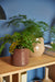 Vibe Blumentopf Keramik braun
