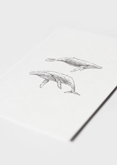 A4 Poster Inkylines